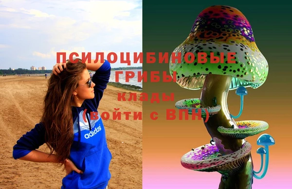 мяу мяу мука Алексин