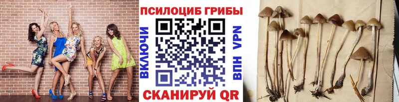 купить закладку  Дивногорск  Галлюциногенные грибы мухоморы 